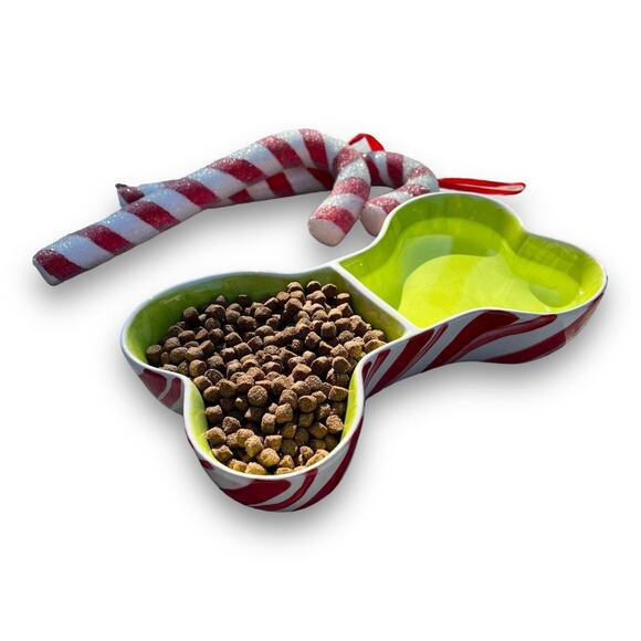 Dog Food & Water Bowl in a Dog Bone Shape with Peppermint Design - Picture 1 of 10